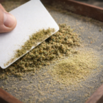 Carding trichomes from cannabis