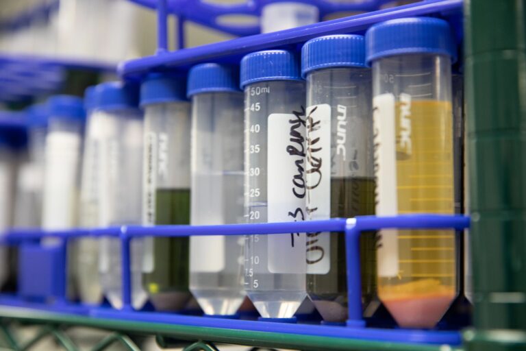 Click to see a larger version of the image Closeup of test tubes filled with water and other liquids.