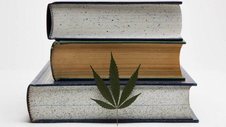 Click to see a larger version of the image Marijuana laws and regulation