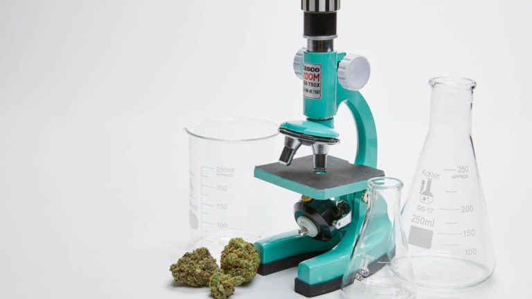 Click to see a larger version of the image thc research