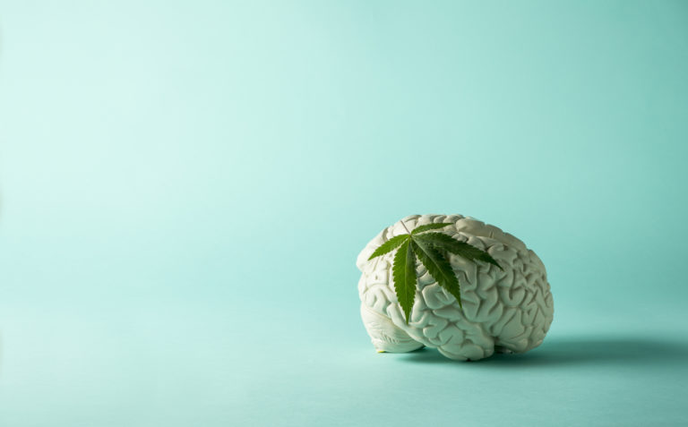 Click to see a larger version of the image cannabis and the brain