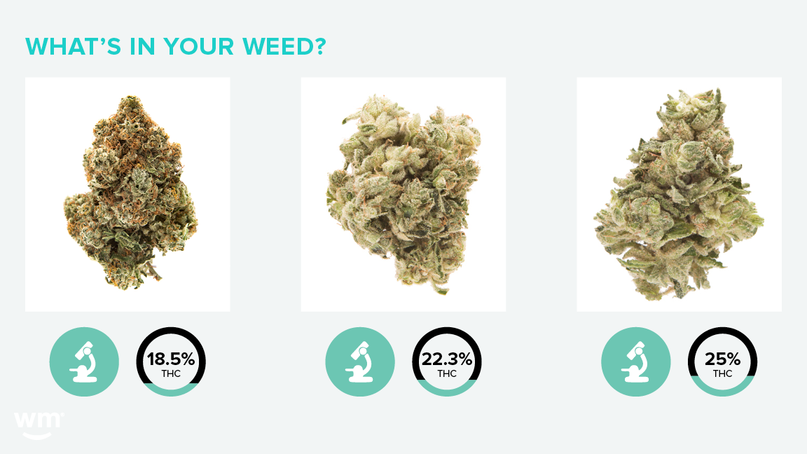 marijuana type of identification