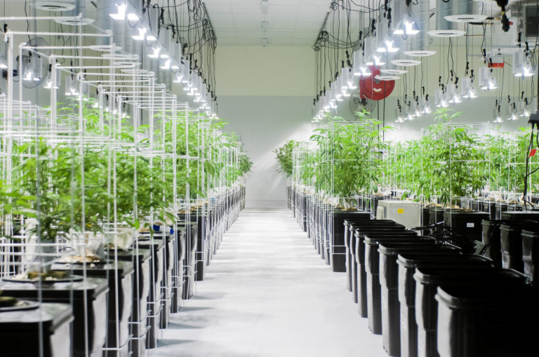 Grow room