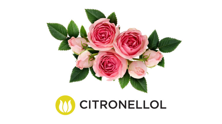 Click to see a larger version of the image Citronellol