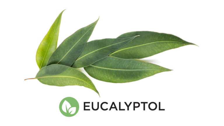 Click to see a larger version of the image Eucalyptol