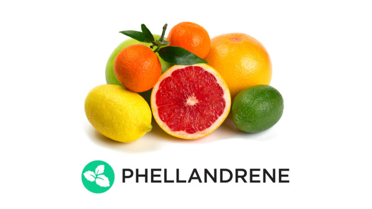 Click to see a larger version of the image Phellandrene