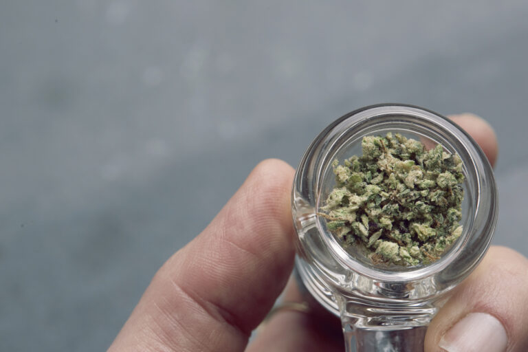 Click to see a larger version of the image Closeup of hand holding clear pipe bowl filled with cannabis