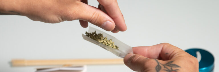 Click to see a larger version of the image Closeup of hands filling rolling paper with ground cannabis.