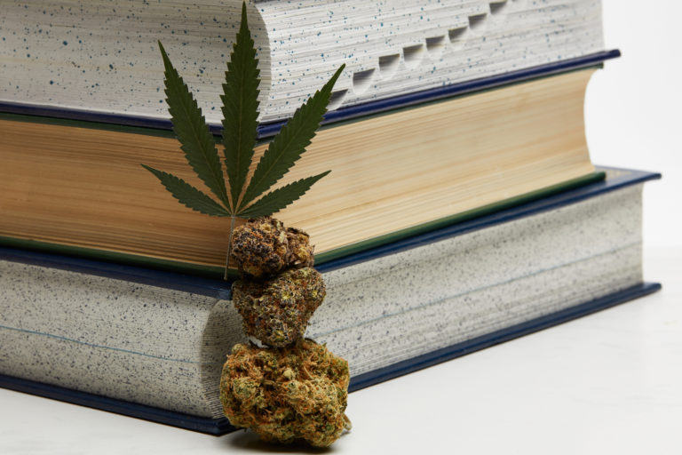 Click to see a larger version of the image cannabis history weed and books