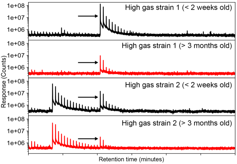 dank chart of gas strains