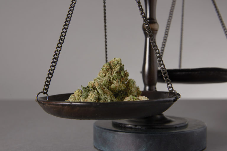 Click to see a larger version of the image marijuana laws justice regulations social equity