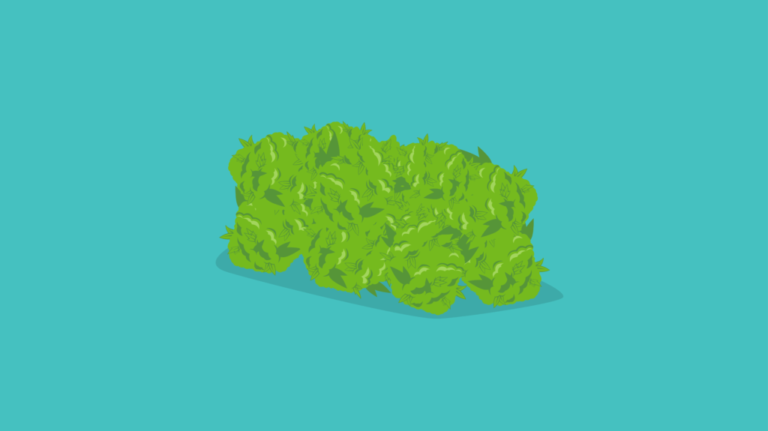 Click to see a larger version of the image how to make rosin