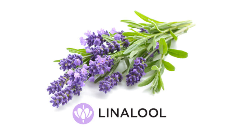 Click to see a larger version of the image linalool