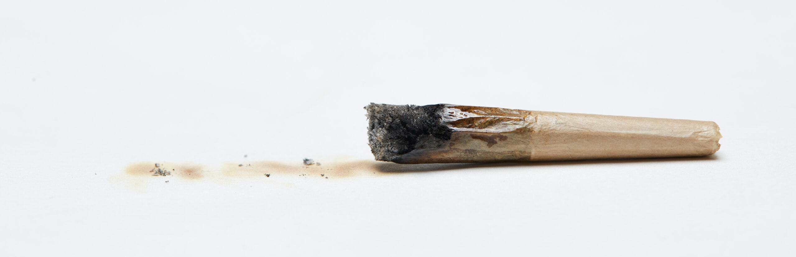 Single burned up joint on white background.