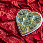 Heart-shaped chocolate box filled with cannabis nugs