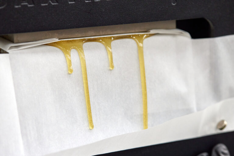 Click to see a larger version of the image Rosin being made in a press.