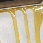 Closeup of rosin dripping out of a press.