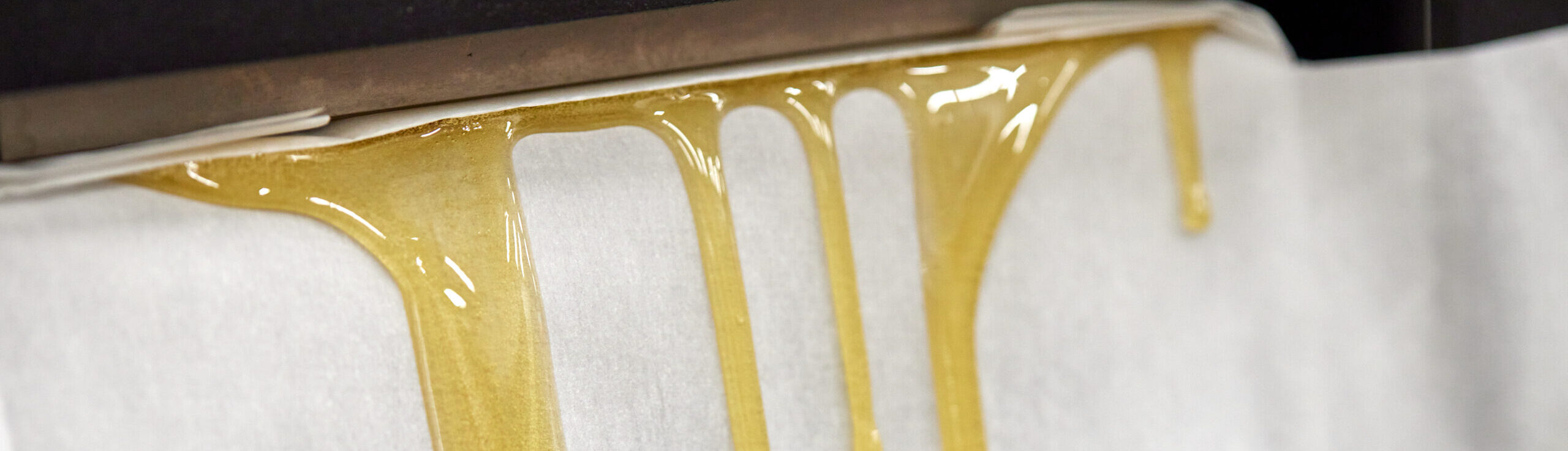 Closeup of rosin dripping out of a press.