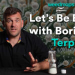 Let's Be Blunt with Boris episode about terpenes - cannabis education series