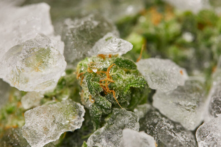 Fresh frozen flower