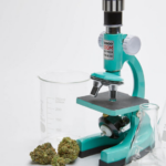 cannabis, microscope, and beakers