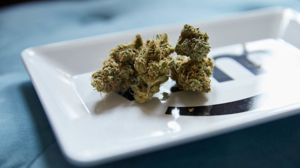 cannabis flower on rolling tray
