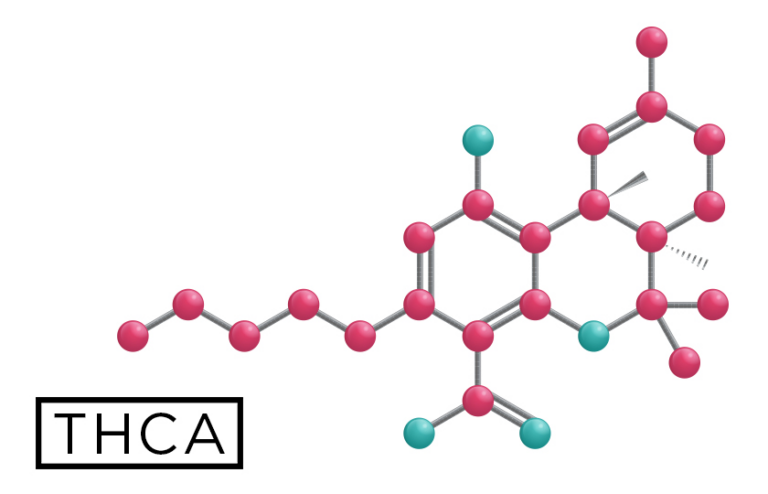 THCA molecule