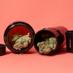 cannabis in stash jar
