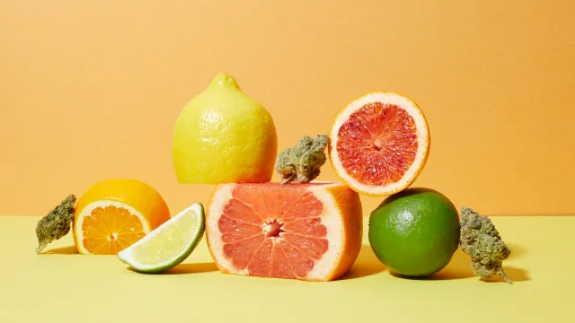 Terpenes as aromatic signal
