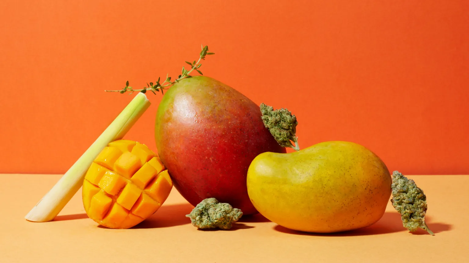 terpene profiles