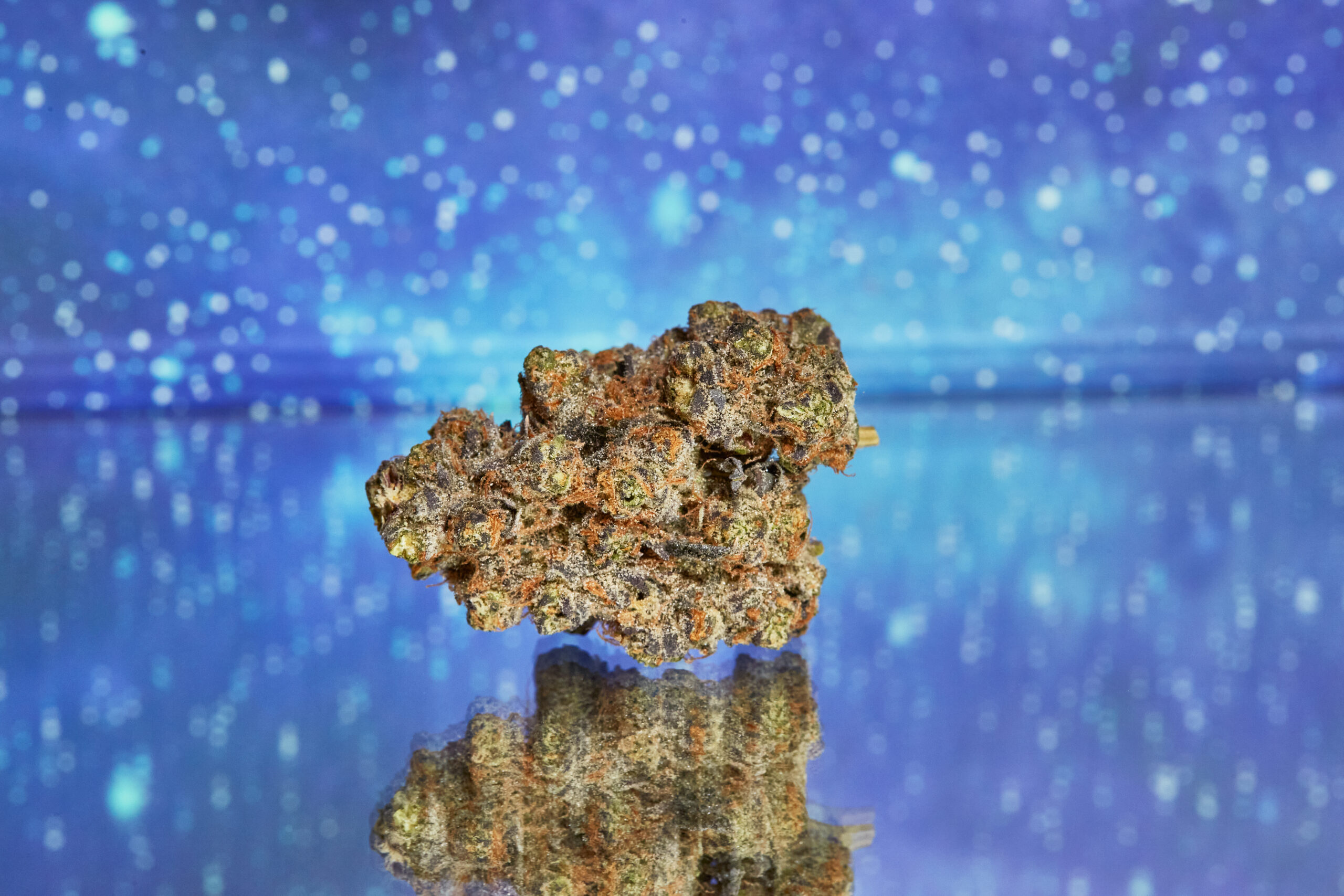 Zaza cannabis