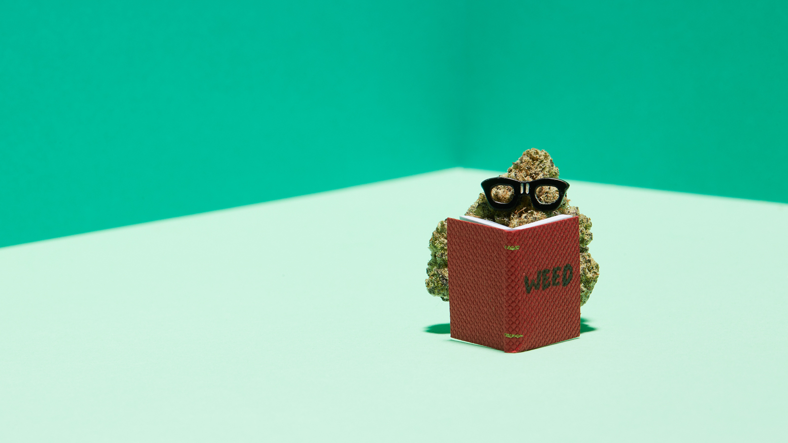 cannabis flower focusing