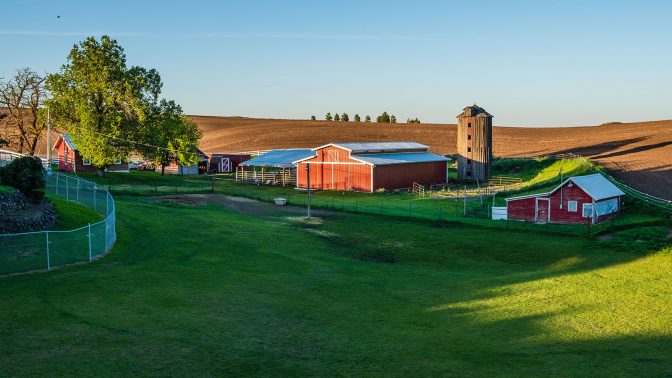 Hemp farm