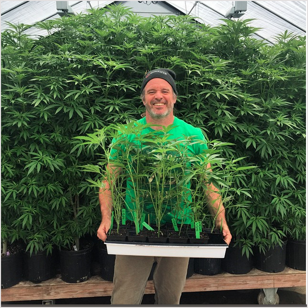 Kevin Jodrey, founder of Wonderland Nursery. Photo courtesy of @WonderlandNursery