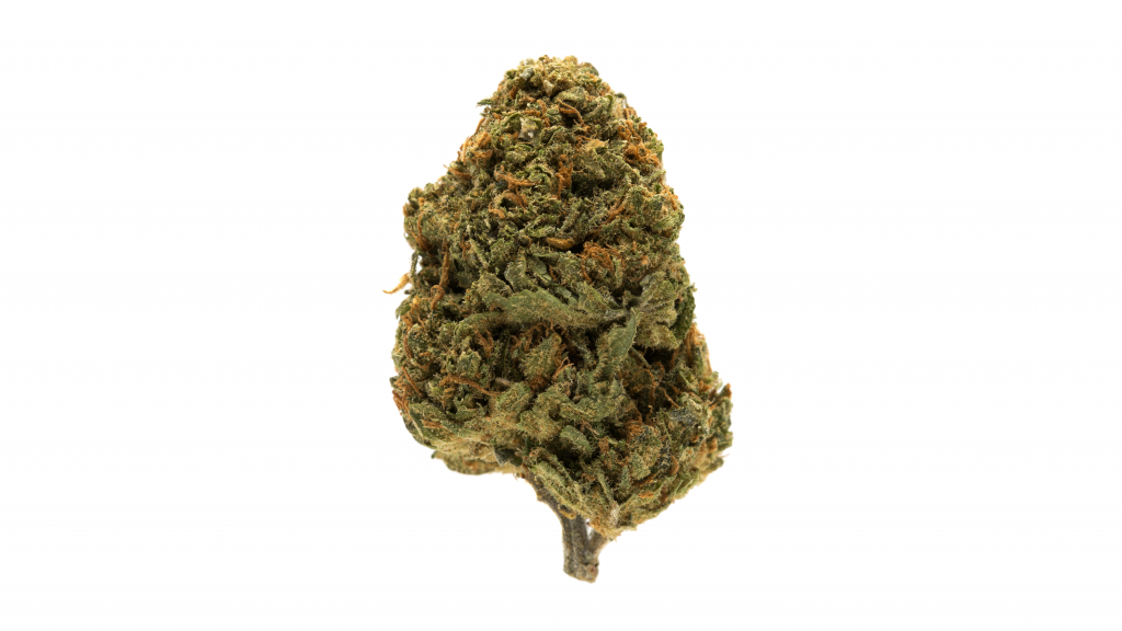 Cbd marijuana strains