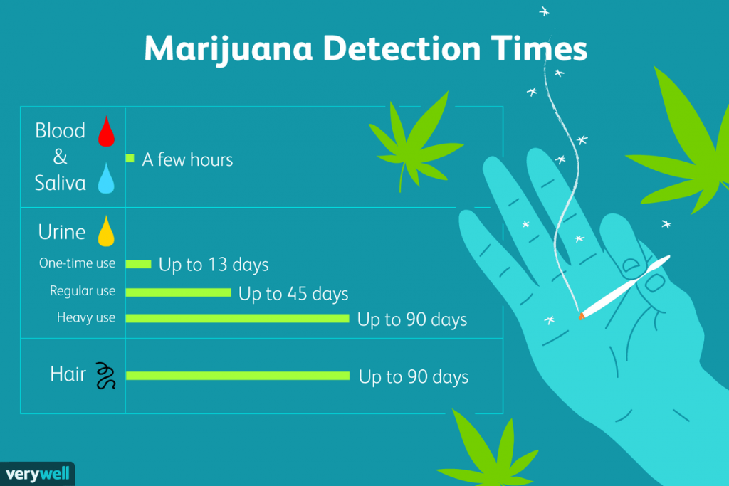 marijuana detection times