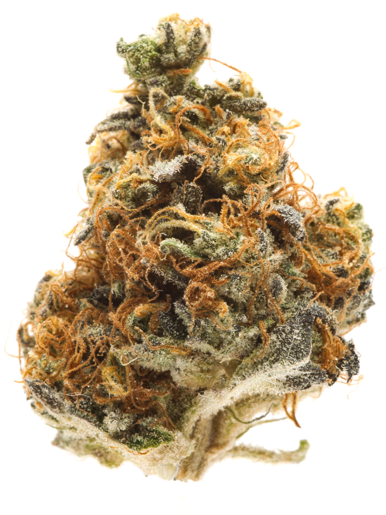 8 cannabis strains that excite awardwinning growers
