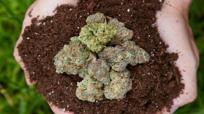 sustainable weed brands