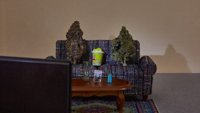 The best summer movies to watch while high