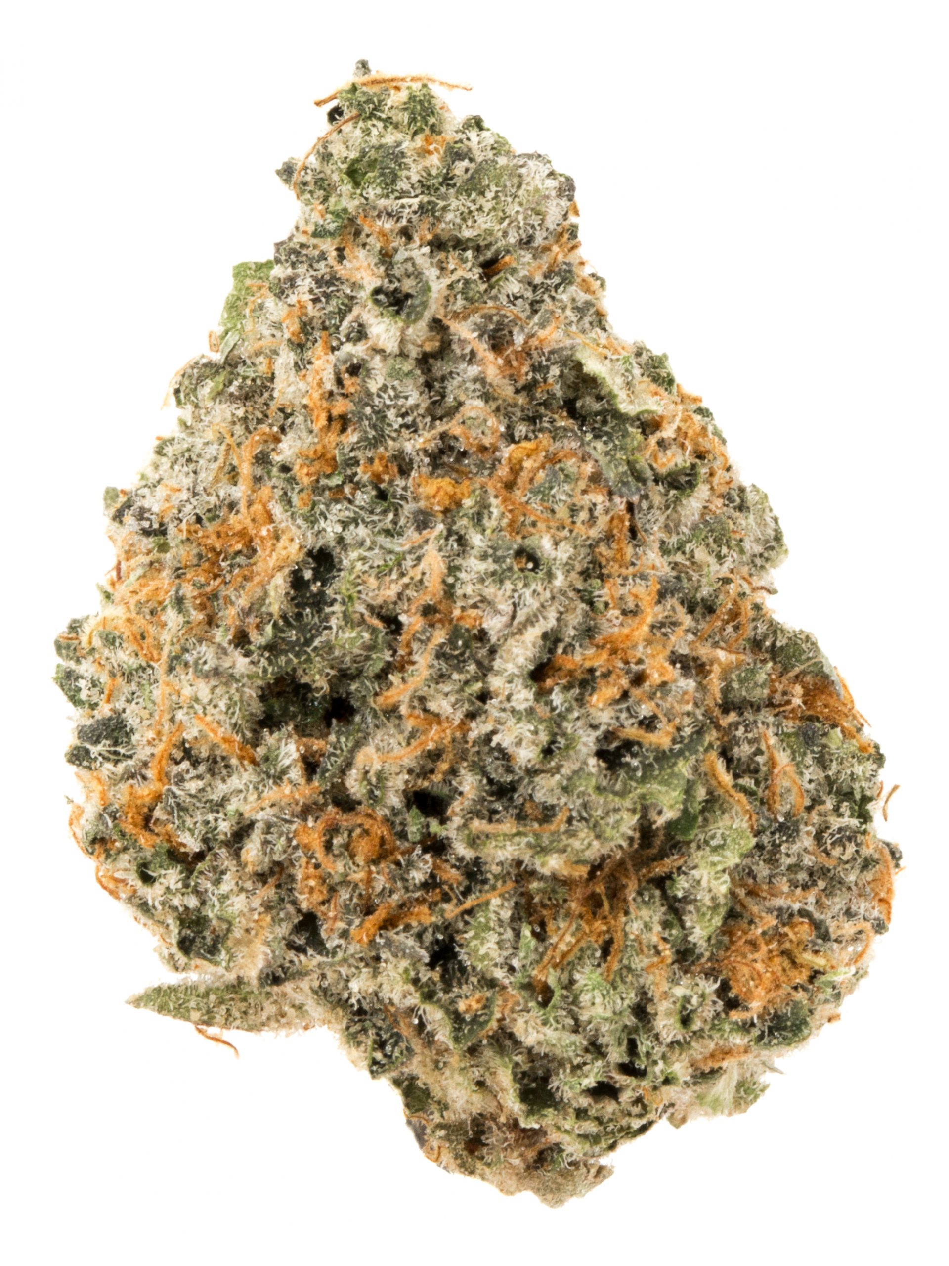 Zodiac Weed Strains 6 Scorpio Strains You'll Love Weedmaps