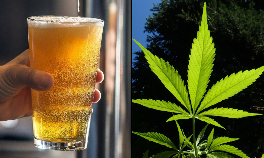 Three In Five Americans Say Marijuana Is Safer Than Alcohol Or Tobacco
