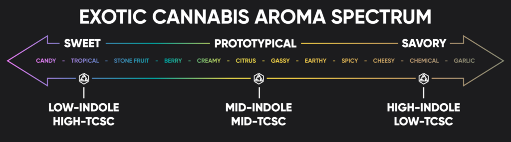 Graphic showing cannabis aroma spectrum.