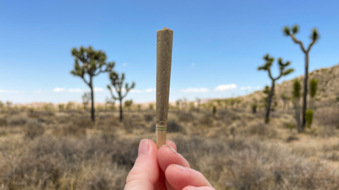 Close up of someone holding a cannabis joint against a desert backdrop on a bright sunny day