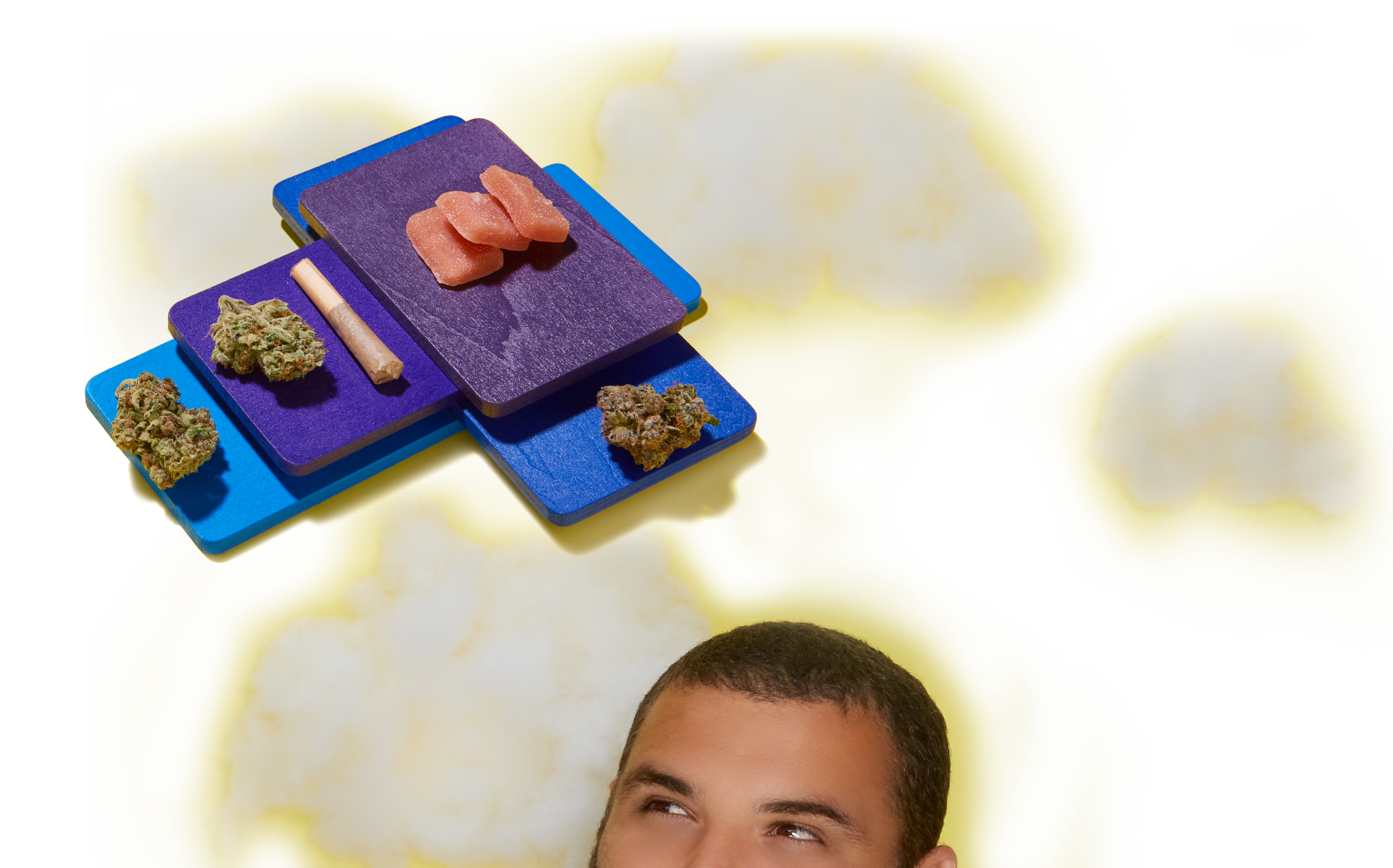 Damo-search-cannabis-2
