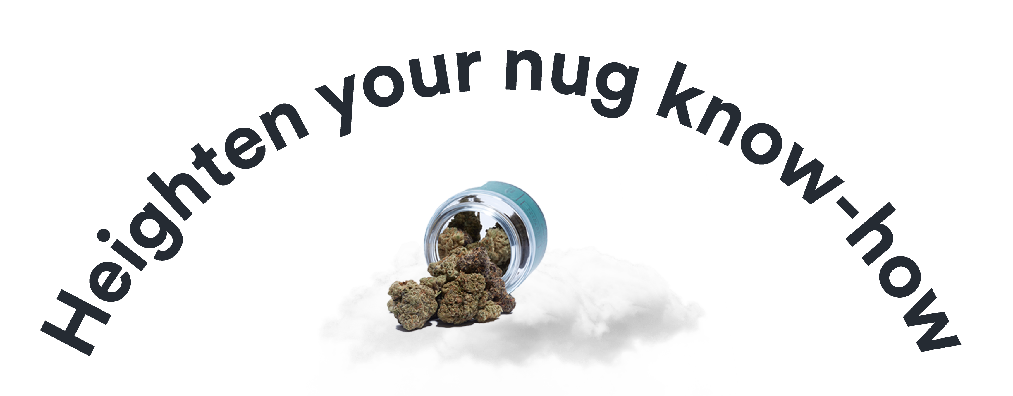 divider-nug-know-how-b