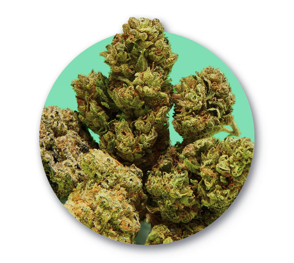 CRTV-4910_Year-Of-Weed-2