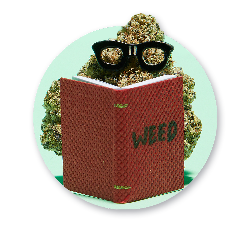 CRTV-4910_Year-Of-Weed-7